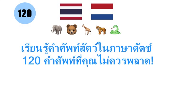 เรียนรู้คำศัพท์สัตว์ในภาษาดัตช์: 120 คำศัพท์ที่คุณไม่ควรพลาด!